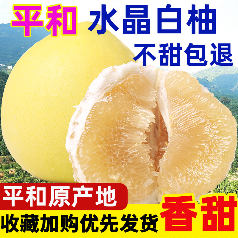 正宗平和白肉蜜柚糖心当季新鲜水果现摘白心密柚非三红柚整箱包邮