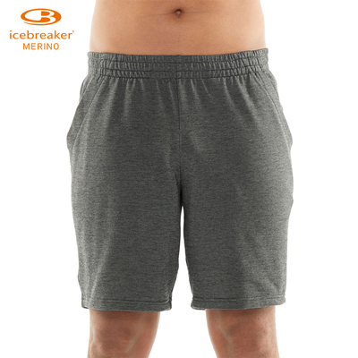 2020ss新款icebreaker体能训练