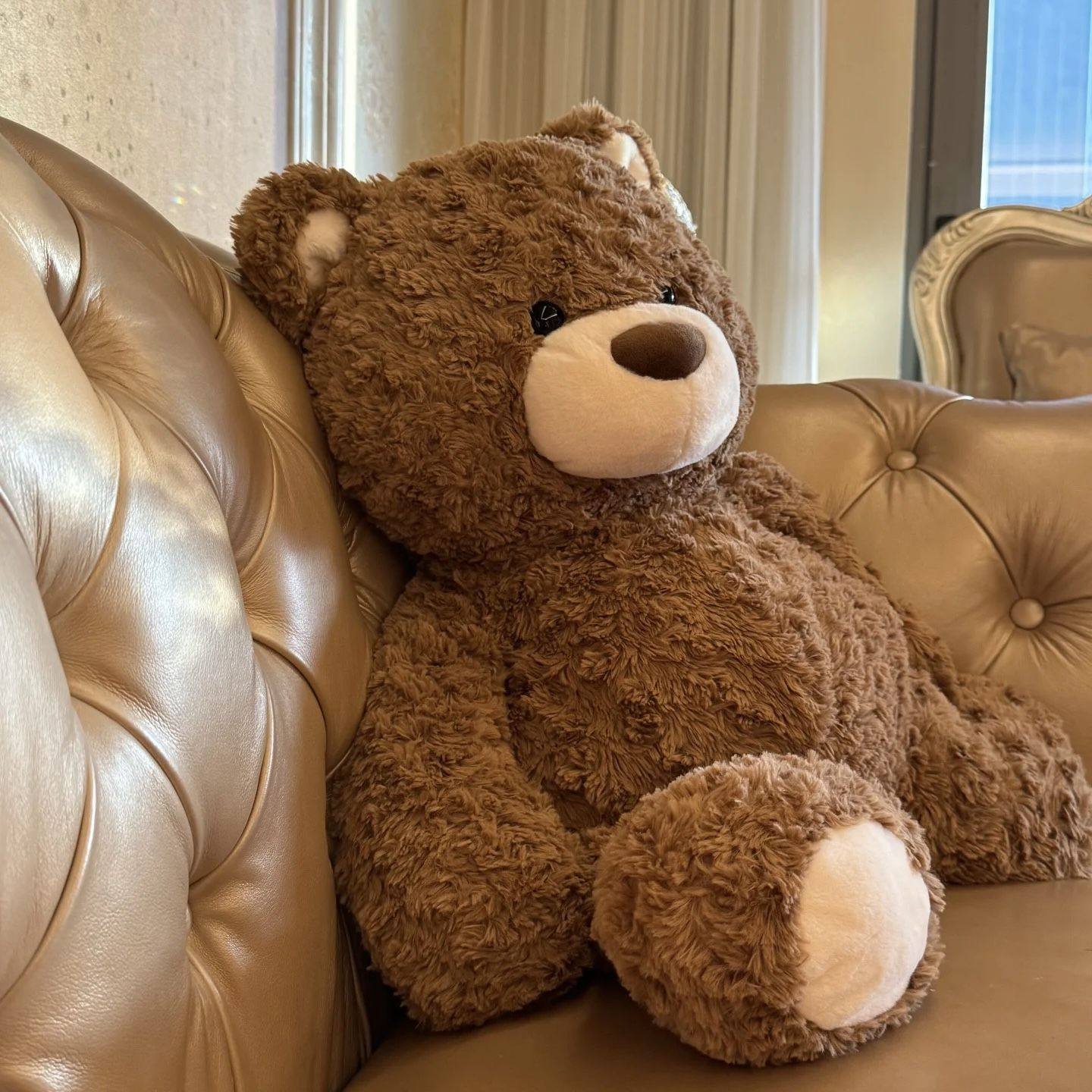 暴暴熊玩偶超大号大号福运特熊毛绒公仔儿童软乎高颜值睡觉抱枕儿,模玩/动漫/周边/娃圈三坑/桌游,棉花娃娃/毛绒玩具娃衣,淘宝优惠券,粉丝福利购,淘宝优惠卷