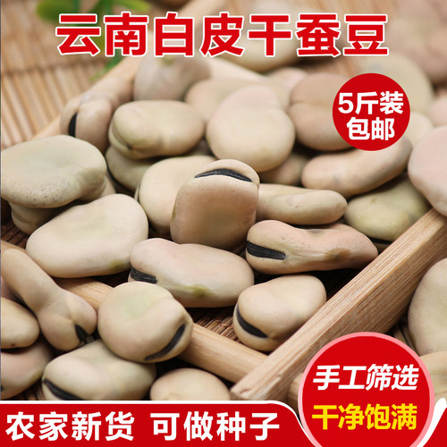 2026新货蚕豆农家自种生蚕豆云南干货罗汉豆胡豆白皮蚕豆5斤种子 - 封面