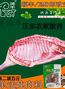 宁夏盐池滩羊肉 6斤新鲜前腿男羊羔羊排腱子棒骨真空包装手抓烧烤