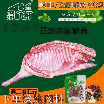 宁夏盐池滩羊肉 6斤新鲜前腿男羊羔羊排腱子棒骨真空包装手抓烧烤