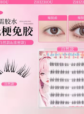 【6排无梗】免胶自粘自然款太阳花分段式仿真新手柔软懒人假睫毛