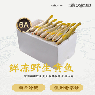 黄渔国新鲜冷冻野生黄瓜鱼海鲜水产小黄花鱼深海生鲜海鱼300g条装