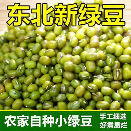 5斤东北新绿豆五谷杂粮精品小绿豆可发芽新鲜农家颗粒饱满绿豆粥
