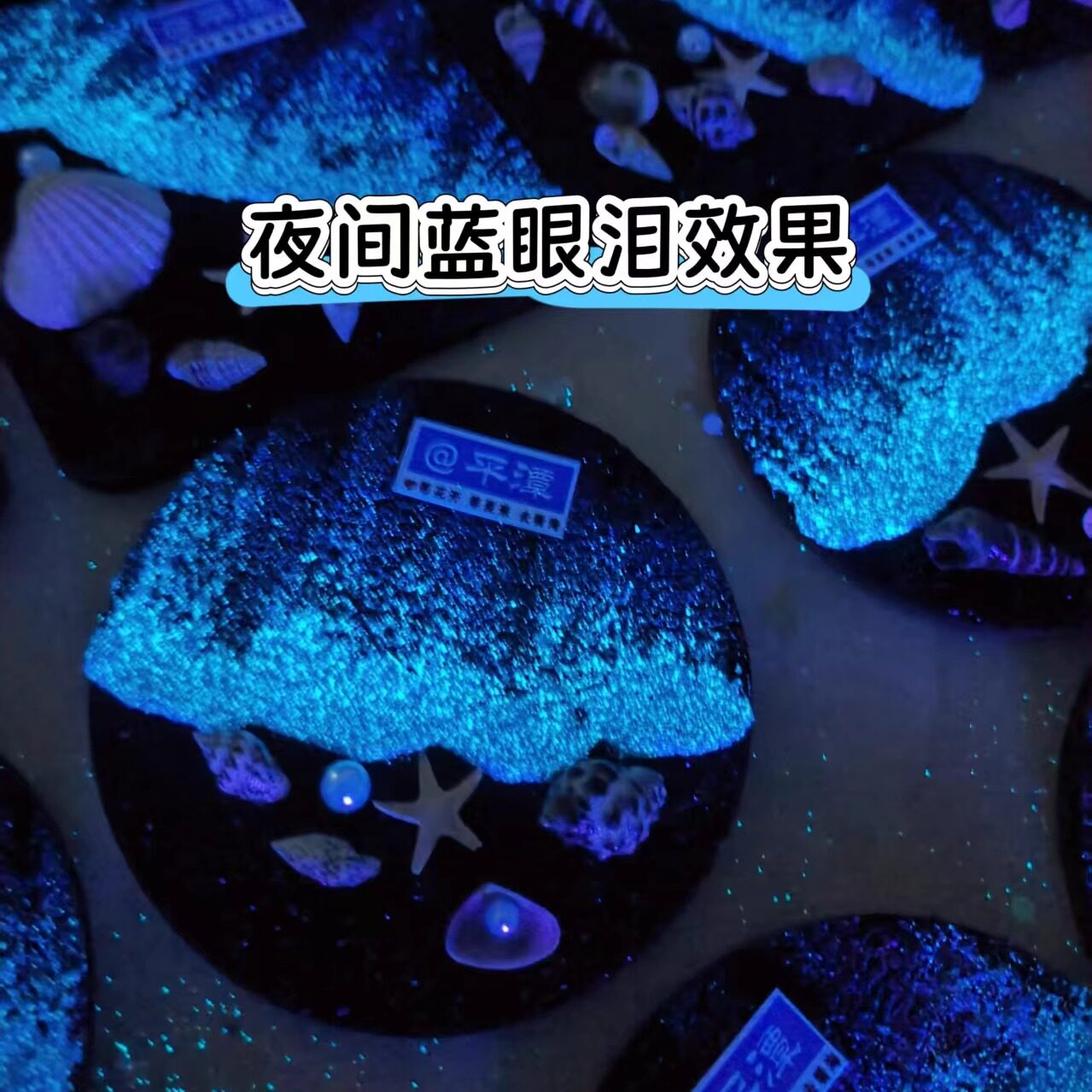 北海涠洲岛海星贝壳可旋转夜光海浪冰箱贴旅游纪念