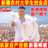 100新疆棉纯棉花被全棉被芯棉絮床垫被褥子冬被棉胎新疆优质被子