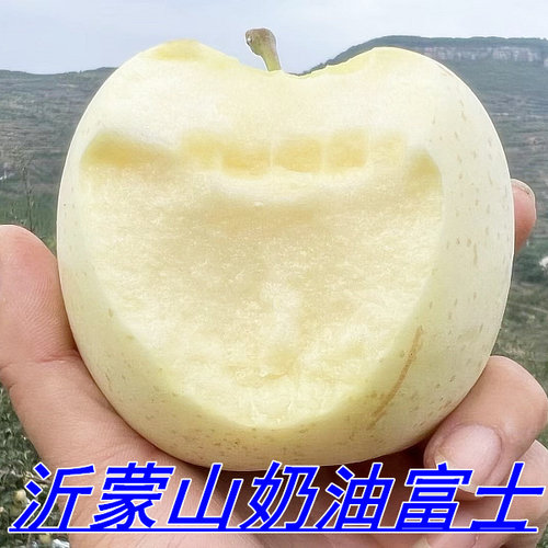 蒙阴当季奶油白苹果富士新鲜现摘