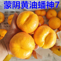 山东蒙阴彩虹蟠桃扁桃黄油蟠桃现摘现发新鲜水果黄金脆桃蜜桃多汁
