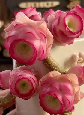 Cc原创迷你树脂黏土仿真多肉山地玫瑰植物小老桩虾饺汽车摆件生日