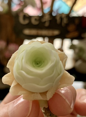 Cc原创迷你树脂黏土仿真多肉玫瑰植物小老桩水晶虾饺汽车摆件生日