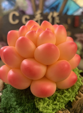 Cc原创树脂黏土仿真月影多肉玉蝶雪天使摆件蓝丝绒洛可可乌木生日