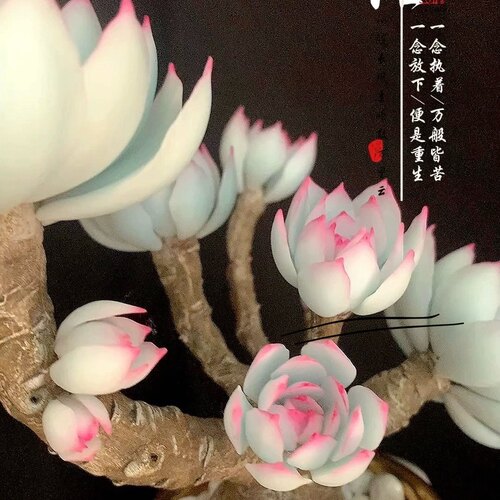 手工粘土多肉广寒宫摆件生日礼物
