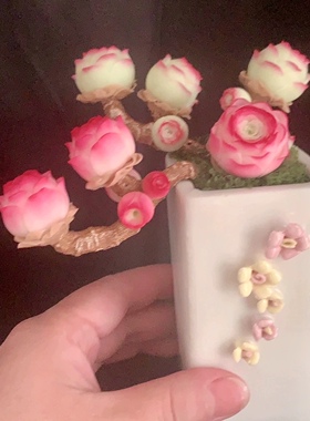 Cc原创迷你树脂黏土仿真多肉山地玫瑰植物小老桩虾饺汽车摆件生日