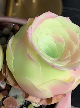 仿真多肉植物粉色山地玫瑰盆栽树脂粘土纯手工花室内客厅装饰摆件