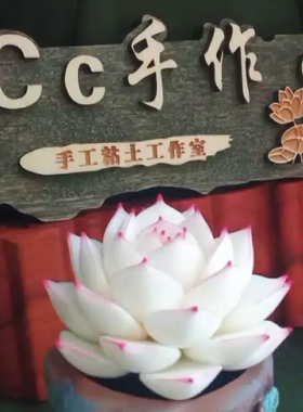 Cc原创树脂黏土仿真多肉永生仙气边线女王白麦秆抹茶办公室桌面摆