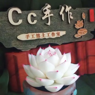 Cc原创树脂黏土仿真多肉永生仙气边线女王白麦秆抹茶办公室桌面摆