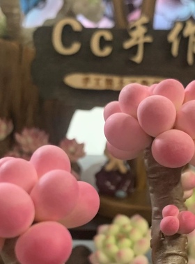 Cc仿真多肉植物成品手工树脂粘土花桃蛋劳尔桌面装饰摆件生日礼物