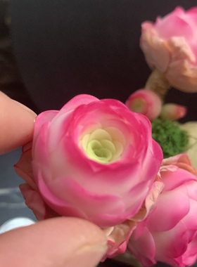 Cc原创迷你树脂黏土仿真多肉山地玫瑰植物小老桩虾饺汽车摆件生日