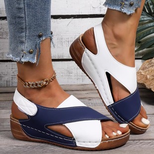 Women Shoes for woman plus size Sandals Party girls blue