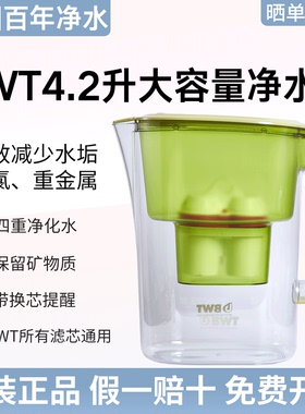 BWT倍世净水壶德国滤芯滤水壶家用4.2L大容量便携净水器镁离子