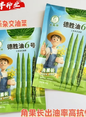 德胜油6号三系杂交油菜种子角果长出油率高抗性好农家春秋季播种