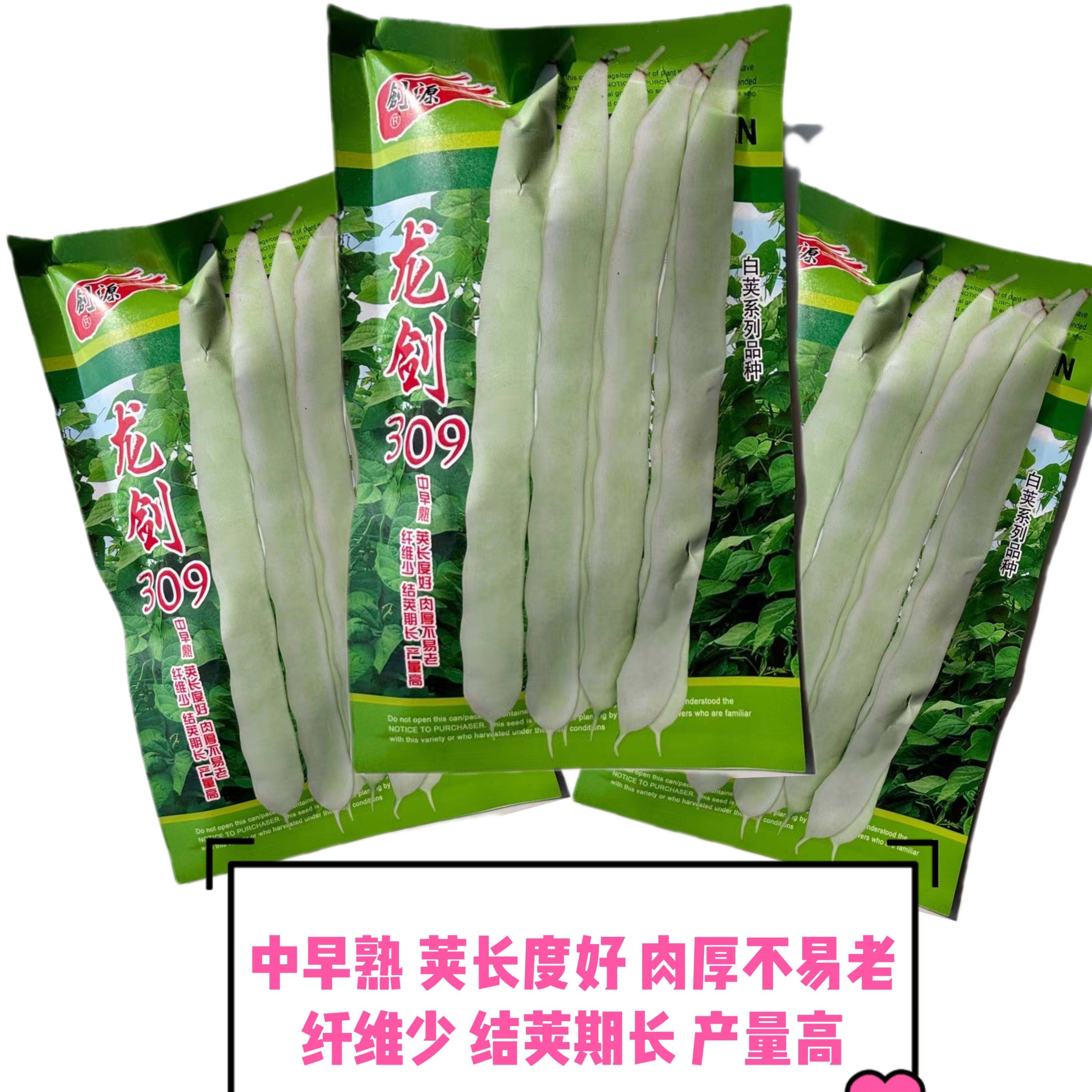 剑龙309白不老架豆种子白扁豆种籽四季豆芸豆种孑春秋播蔬菜种子