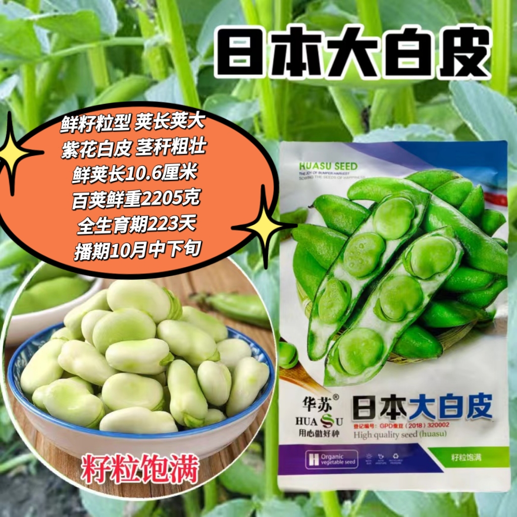 日本大白皮蚕豆种子抗病高产耐寒罗汉豆种籽南北方秋冬季播种青皮