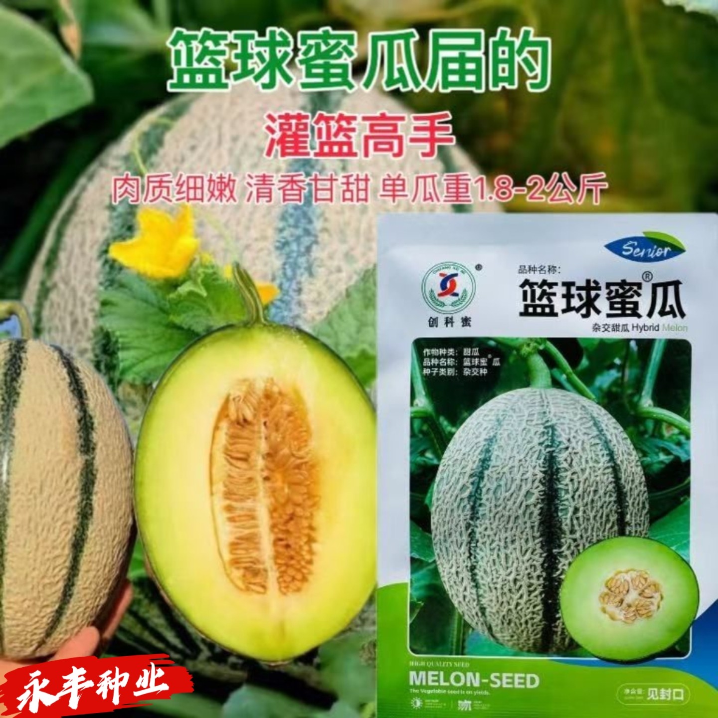 篮球蜜瓜种子杂交早熟高产香瓜种籽抗病抗逆性强瓜皮绿色肉质细嫩