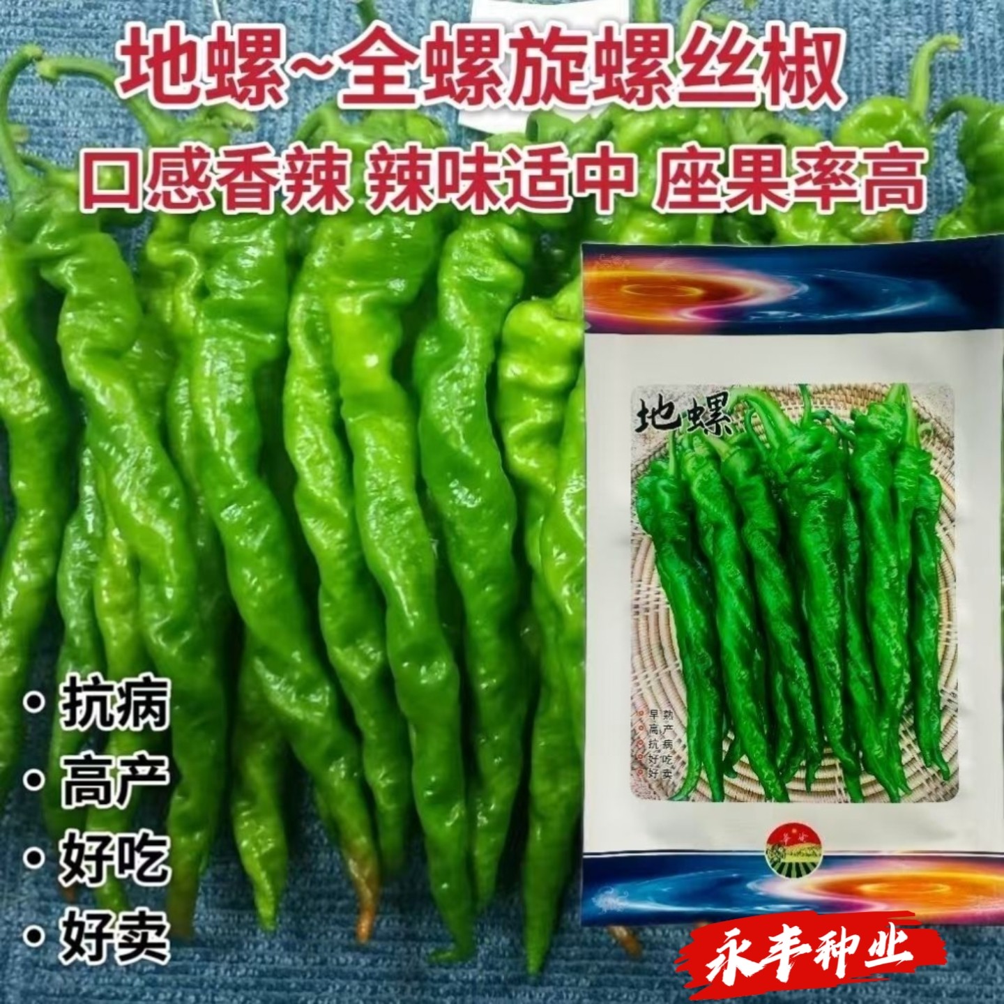 地螺全旋螺丝椒种子早熟高产抗病抗逆性强中辣好吃螺丝椒辣椒种子