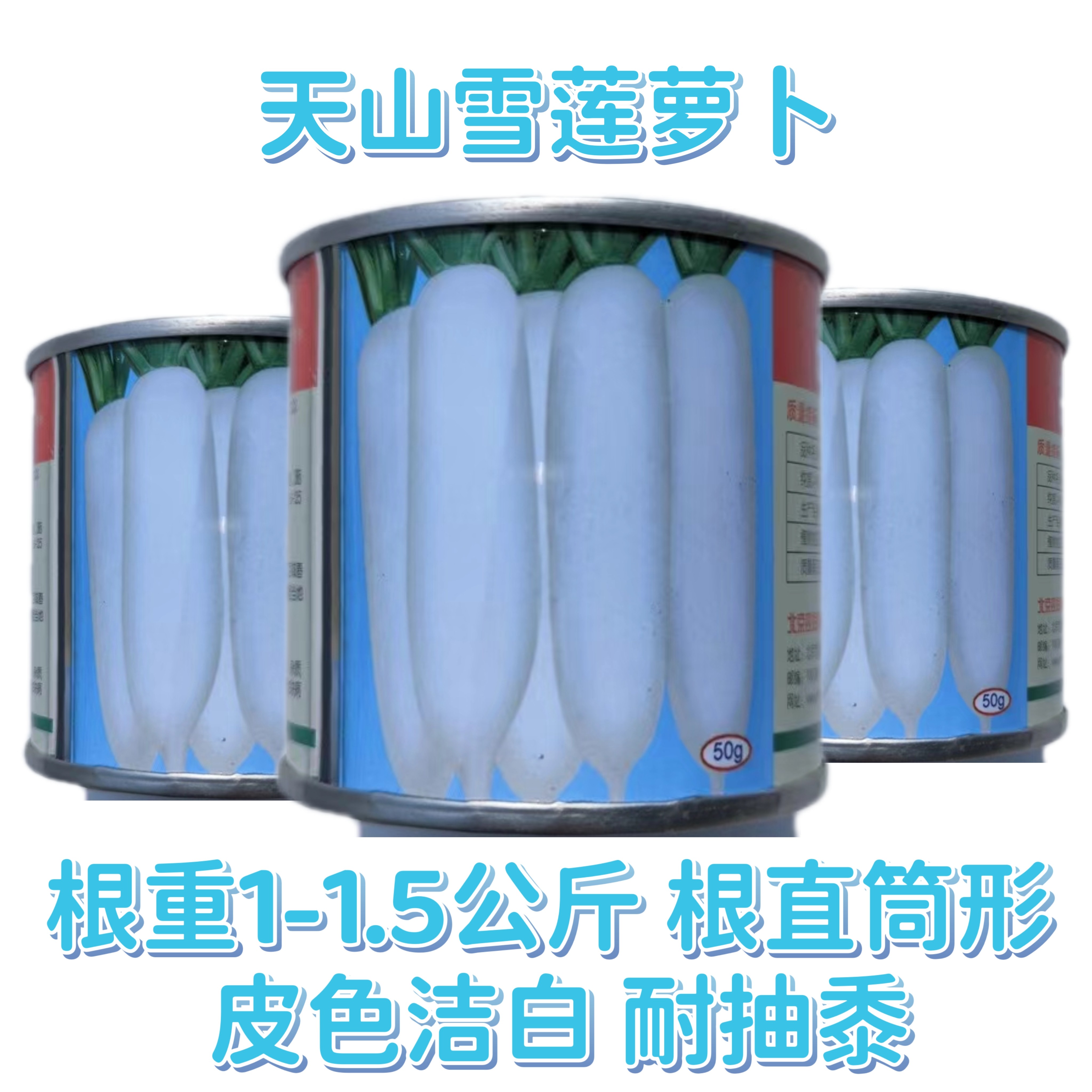 天山雪莲白萝卜种子抗病强不糠心白皮白肉大萝卜种籽孑蔬菜种子