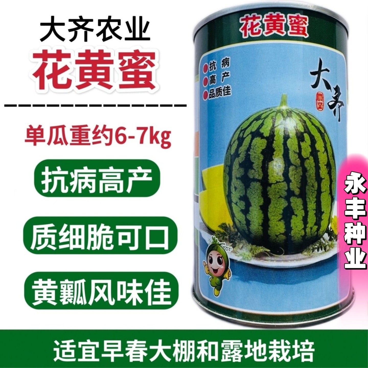 花黄蜜西瓜种子早熟花皮红瓤西瓜种子脆可口春播种孑抗病高产大天