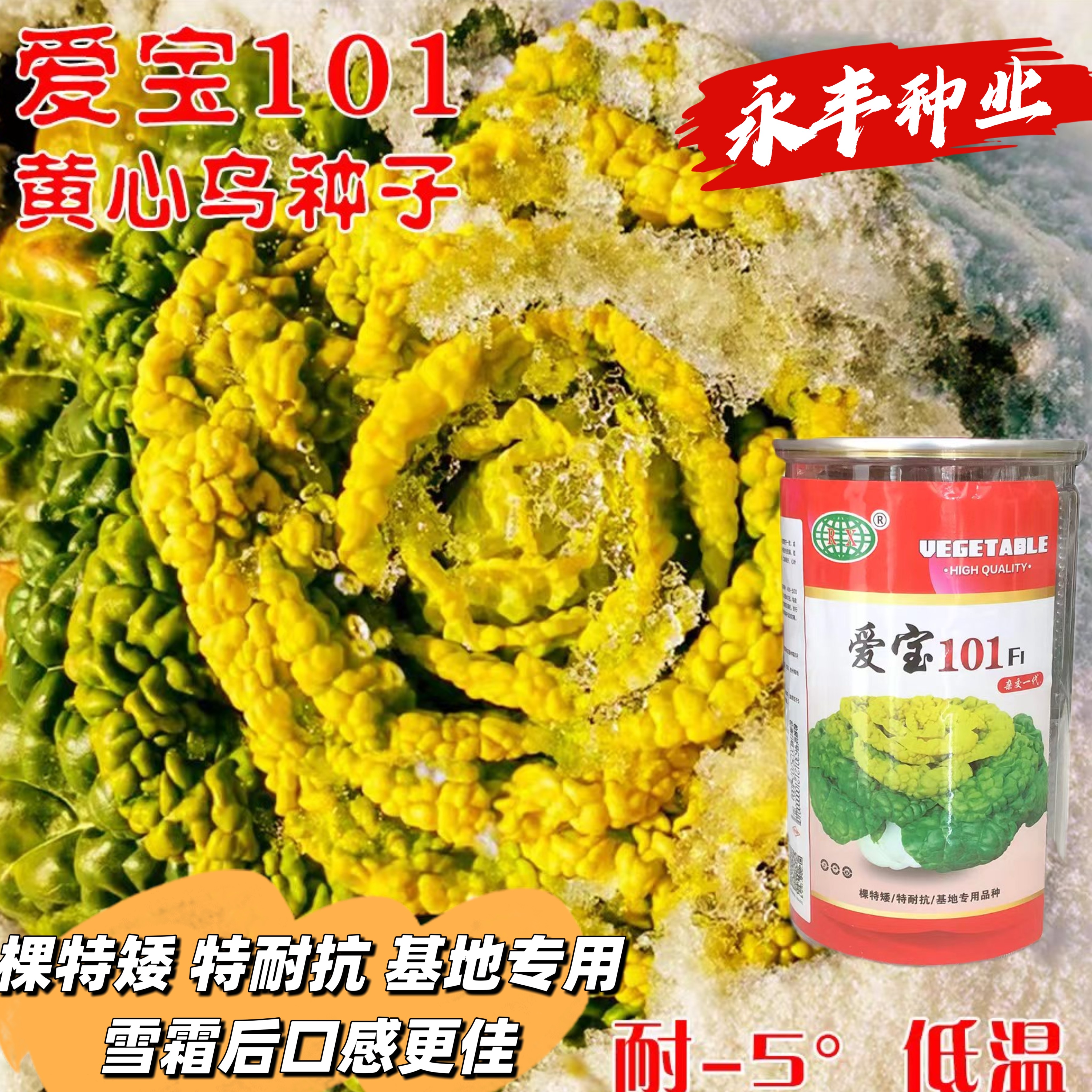 万帮爱宝101黄心乌塌菜种子抗病耐寒口感好杂交黄心菜种籽秋冬播