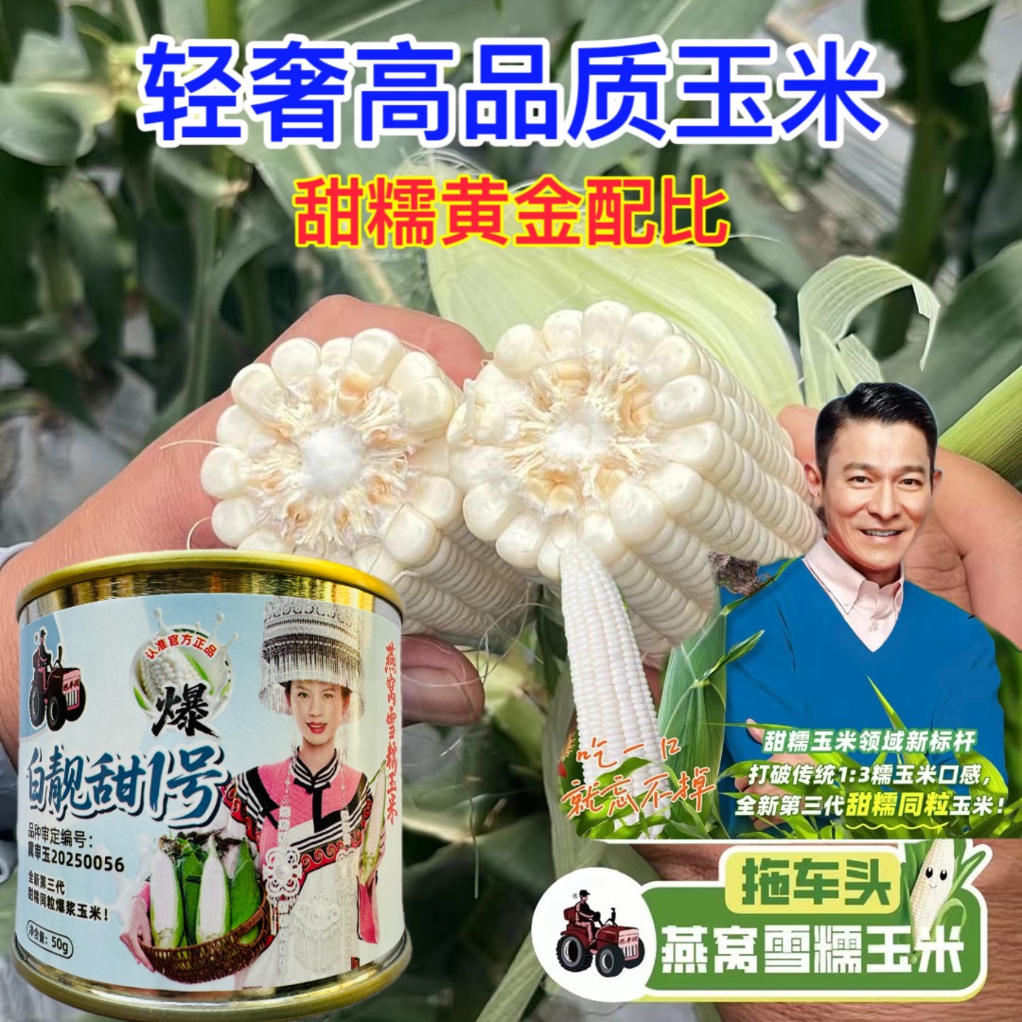 白靓甜1号燕窝雪糯白玉米全新第三代超甜糯同粒玉米好种植易好吃