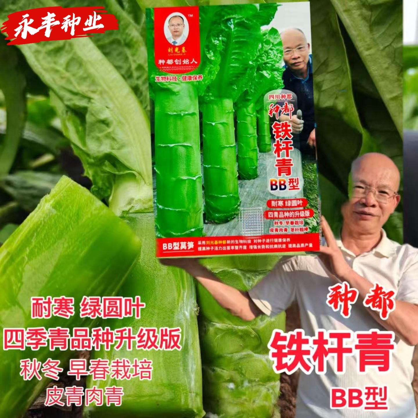 铁杆青BB型莴笋种子圆叶莴笋棒子粗大肉绿清香耐热耐湿产量高莴苣