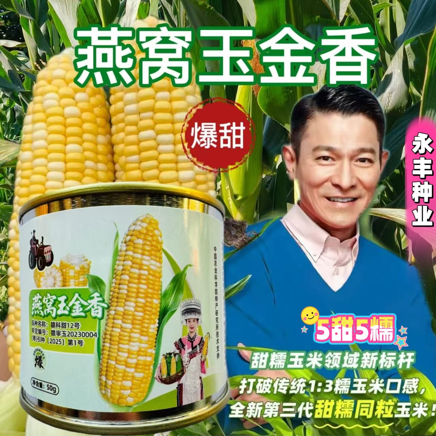 燕窝玉金香玉米种子5甜5糯超甜水果爆浆好吃籽粒金黄色玉米籽春秋