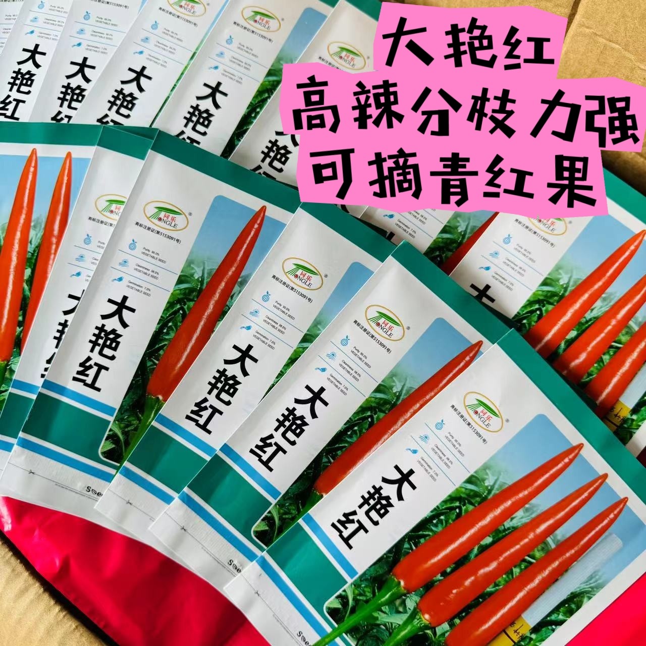同乐大艳红特辣朝天椒种籽单生大果型高产抗病指天椒红辣米椒种子