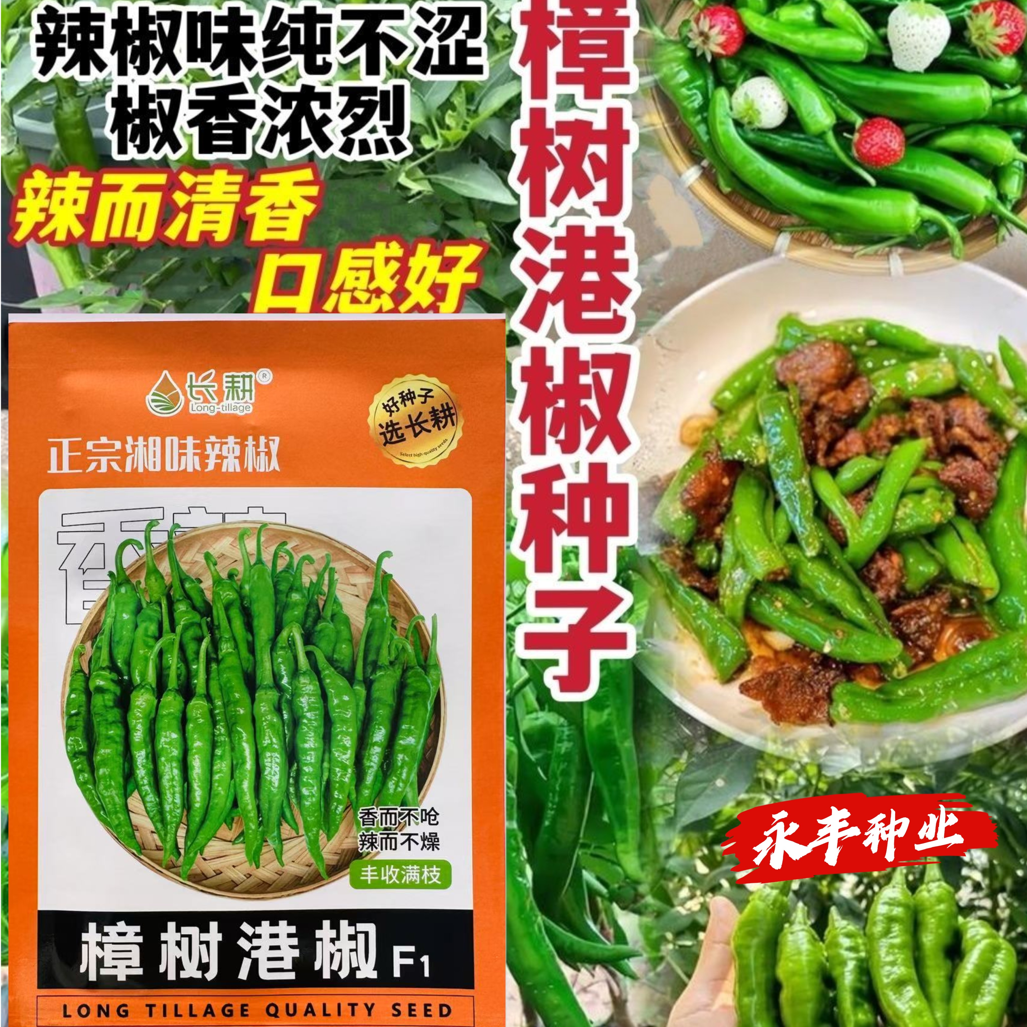 樟树港辣椒种子味美微辣早熟耐寒结果优挂果多生长快香脆甜蔬菜籽