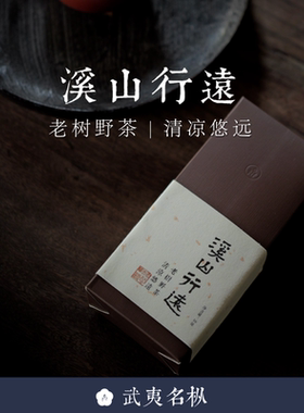 99顺丰包邮 溪山行远 老树野茶2023年春武夷名丛草木君岩茶