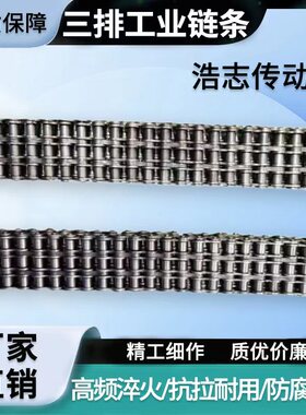三排链条工业 传动链条 08B 10A 12A 16A 20A 24A 32A