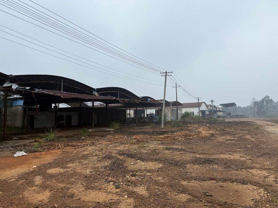 1月23日岳阳土地使用权及土地上的附着物网络拍卖公告