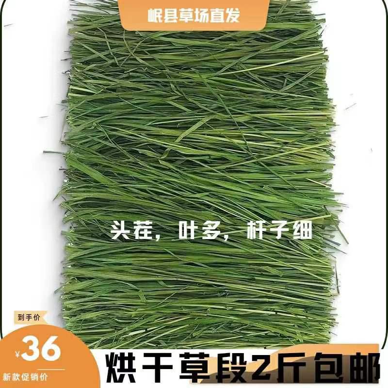 兔兔干草提摩西烘干晒干荷兰猪琢鼠饲料幼兔粮草