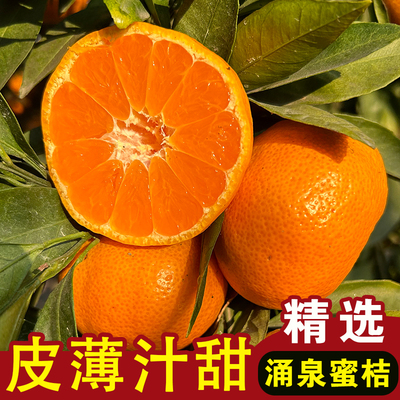 皮薄汁甜无核临海涌泉蜜桔10斤装