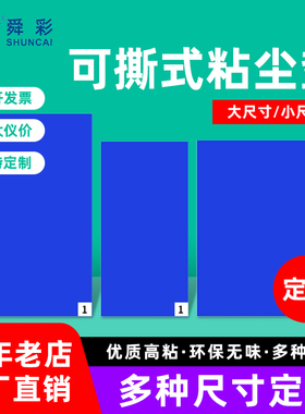 工厂可撕式蓝色粘尘垫定制大小尺寸无尘车间风淋室一性次粘灰地垫