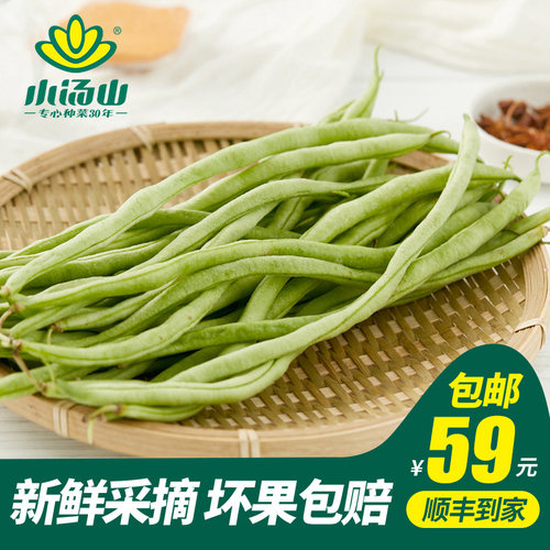 小汤山架豆角新鲜蔬菜