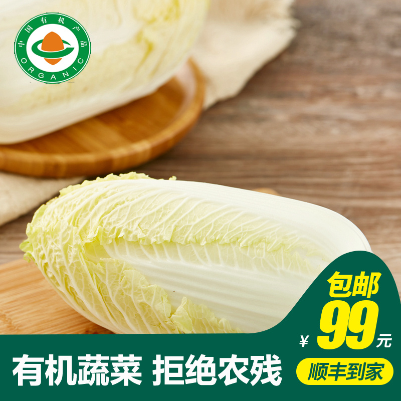 小汤山白菜500g有机当天采摘