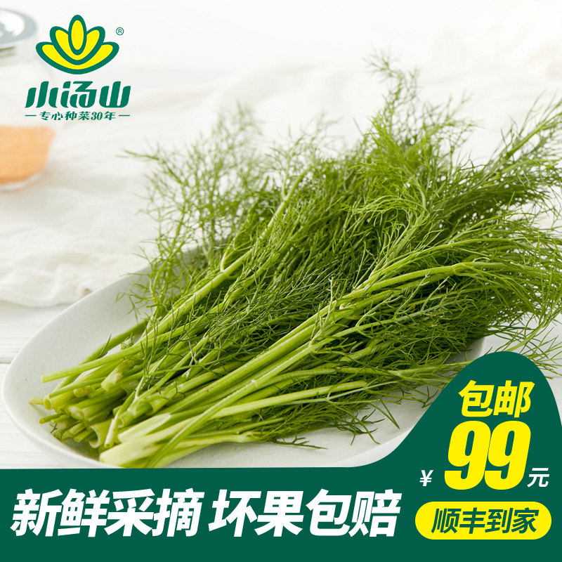 【小汤山】茴香 约250g 新鲜蔬菜当天采摘北京农场顺丰到家,水产肉类/新鲜蔬果/熟食,其它,淘宝优惠券,粉丝福利购,淘宝优惠卷