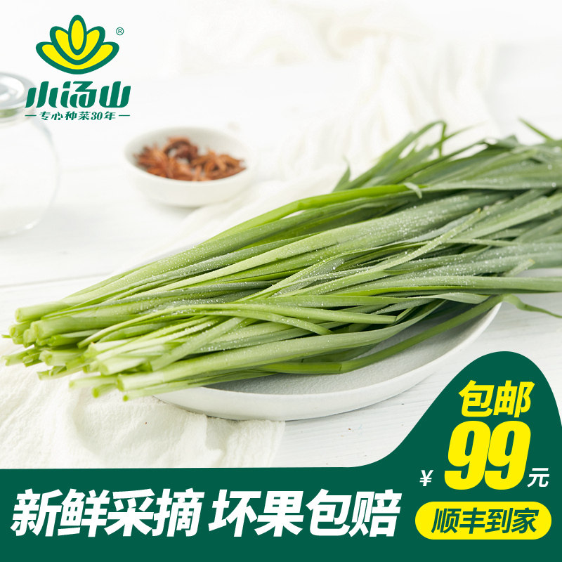 【小汤山】韭菜 约250g 新鲜蔬菜当天采摘北京农场顺丰到家,水产肉类/新鲜蔬果/熟食,其它,淘宝优惠券,粉丝福利购,淘宝优惠卷
