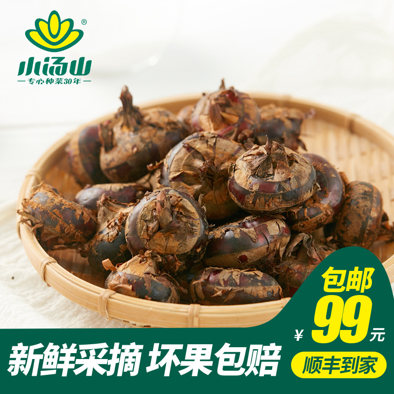 小汤山荸荠新鲜蔬菜