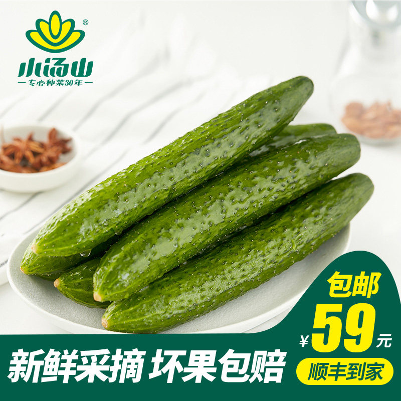 【小汤山】黄瓜 约350g 新鲜蔬菜当天采摘北京农场顺丰到家